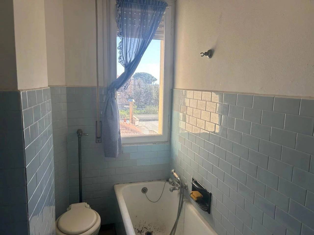 immagine annuncio 12 di 14