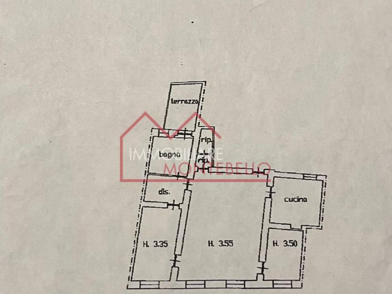 immagine annuncio 9 di 10