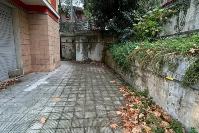 insertion image
