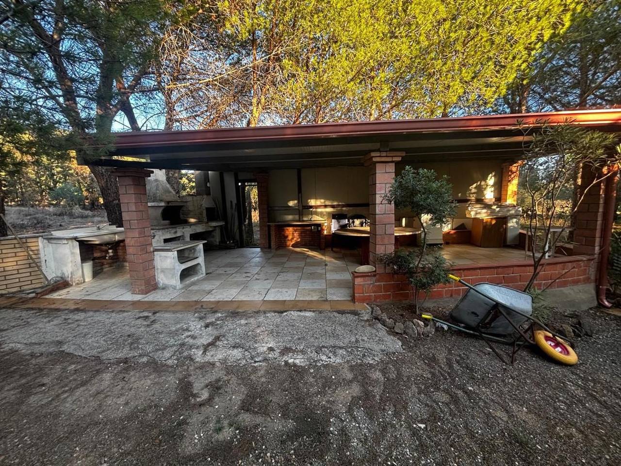 immagine annuncio 11 di 15