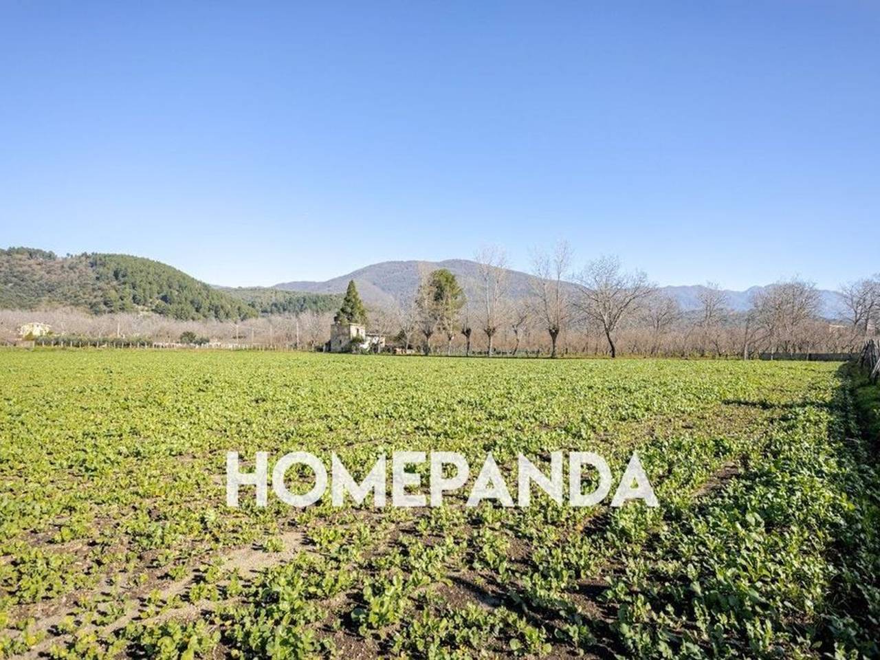 immagine annuncio 2 di 7