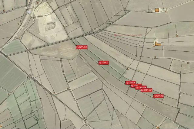 insertion image