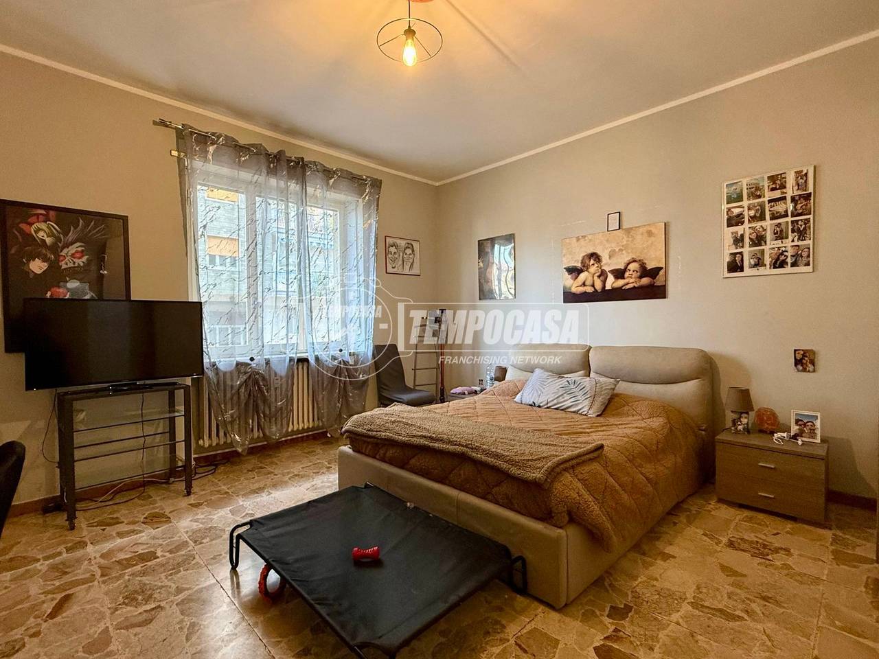 immagine annuncio 8 di 14