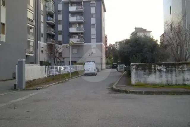 insertion image