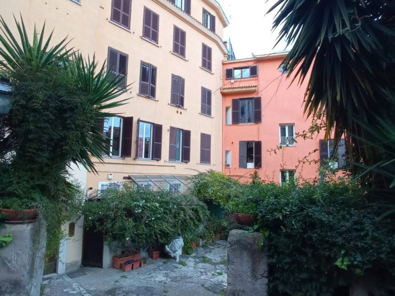 immagine annuncio 3 di 11