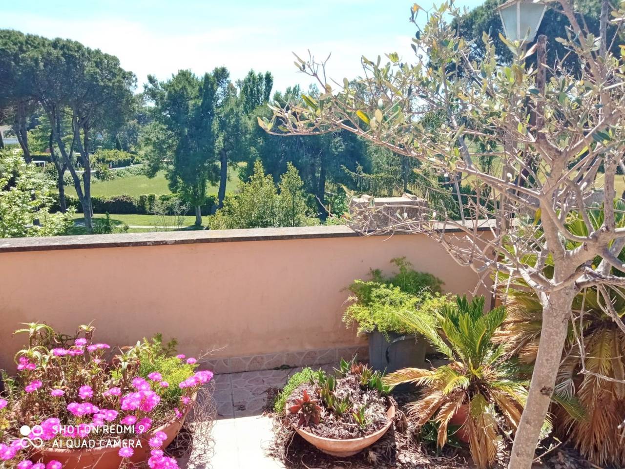 immagine annuncio 5 di 11