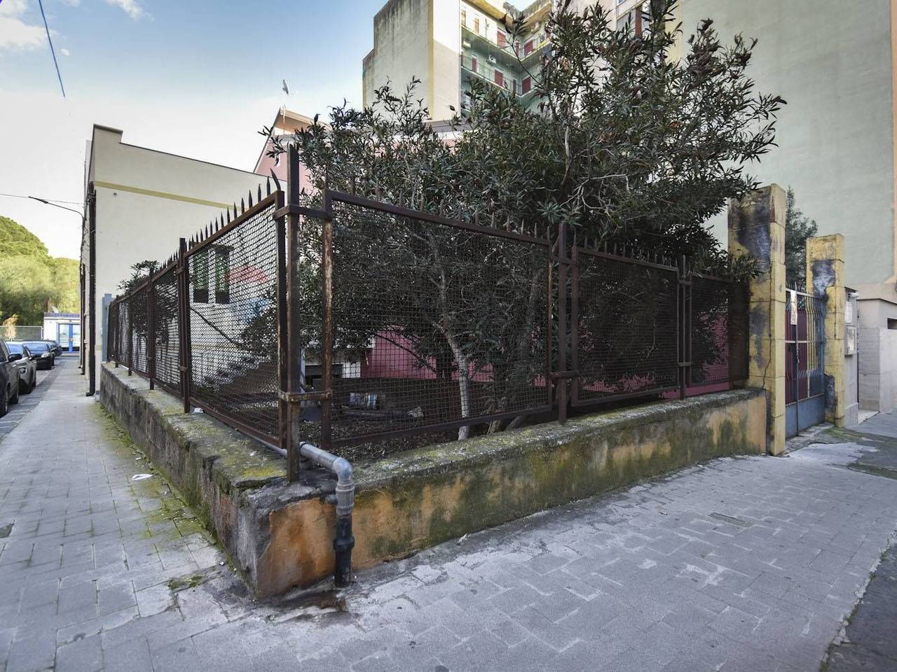 immagine annuncio 11 di 15