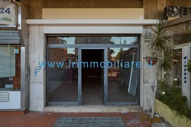 insertion image