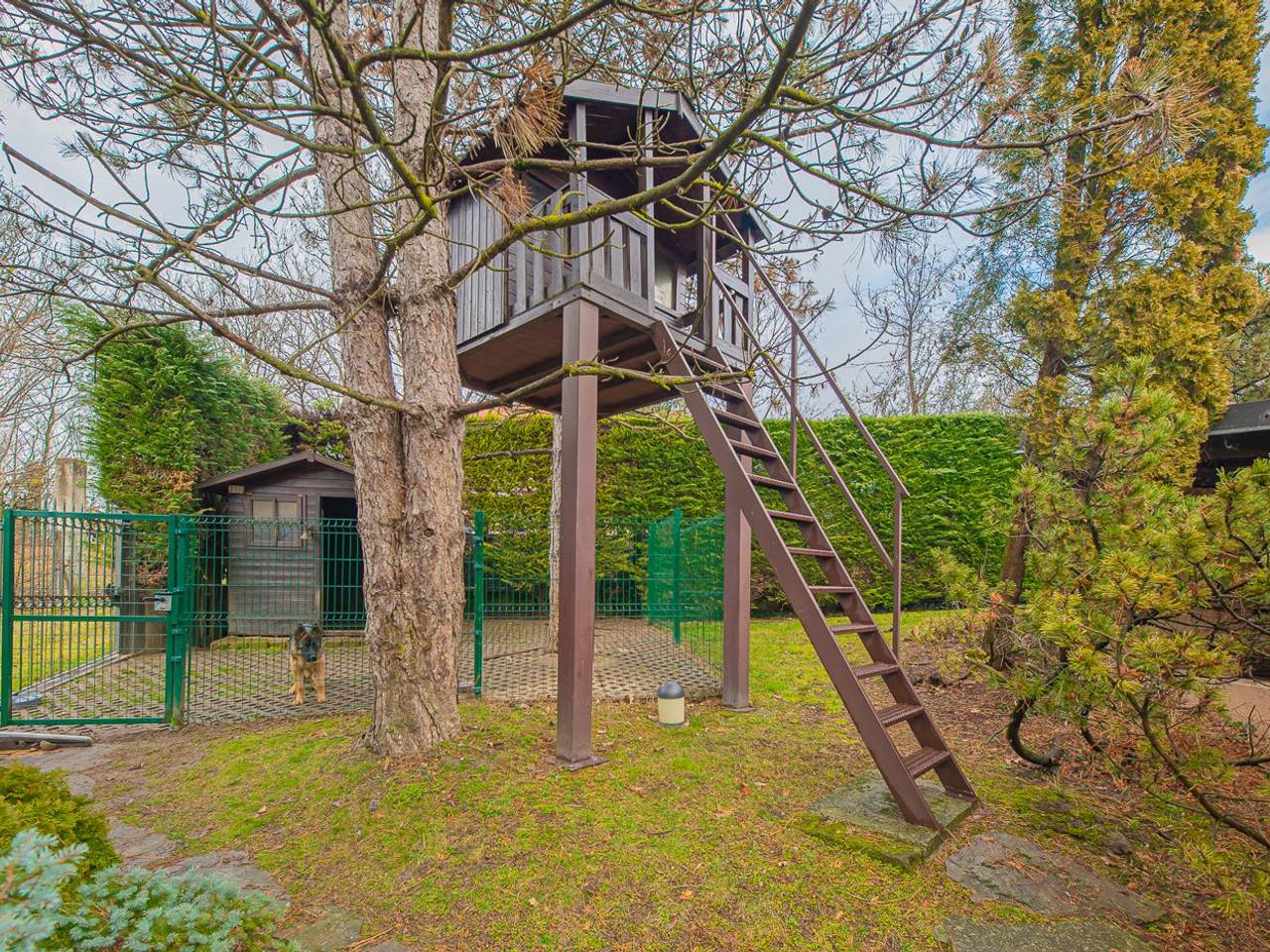 immagine annuncio 4 di 15