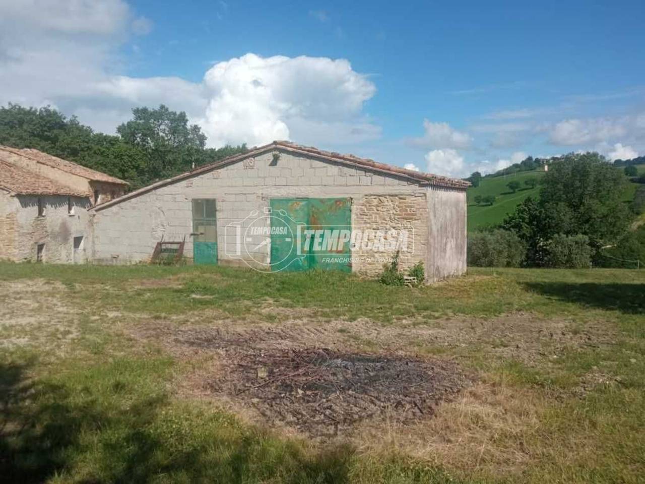 immagine annuncio 3 di 13