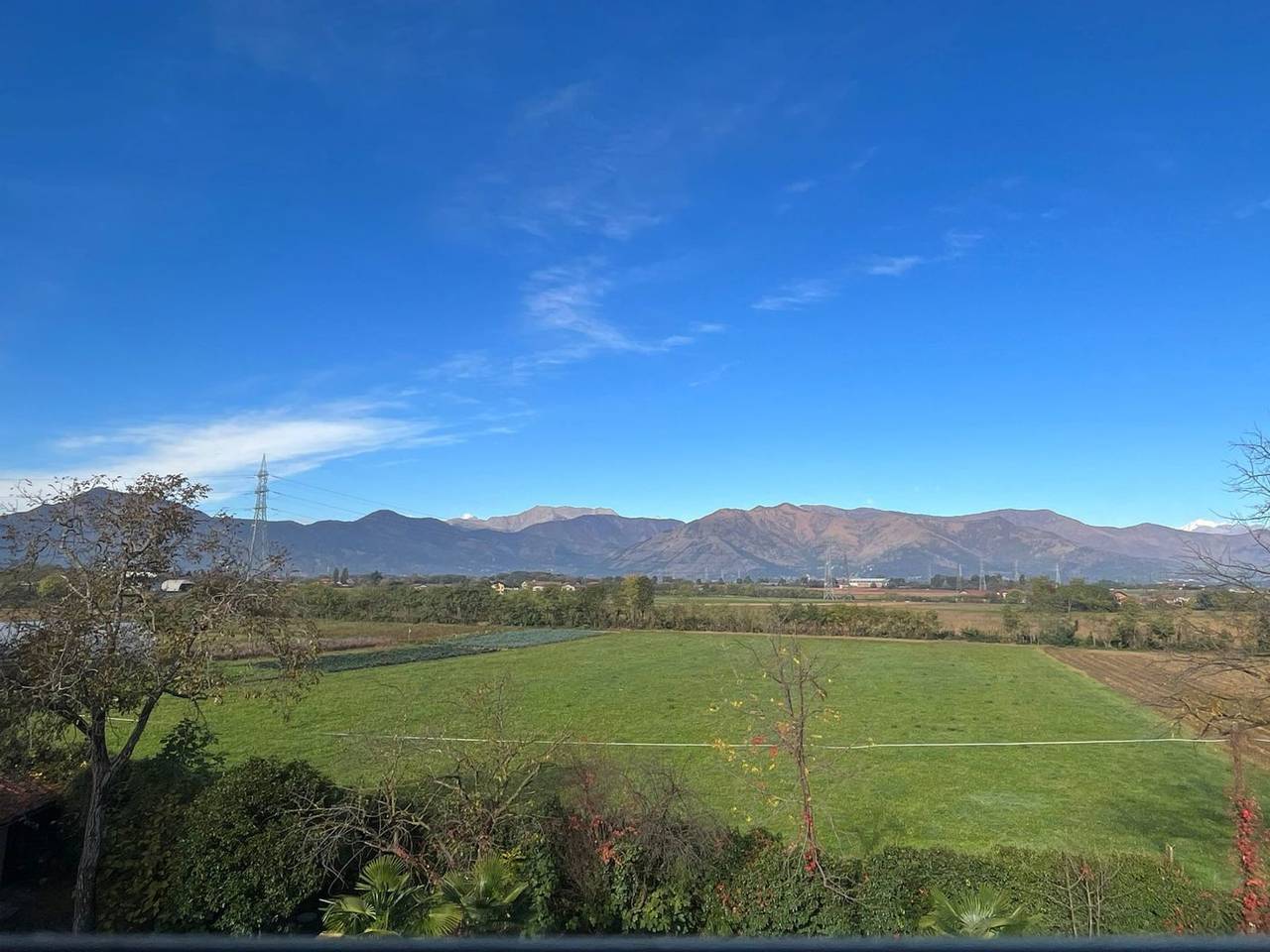 immagine annuncio 11 di 12