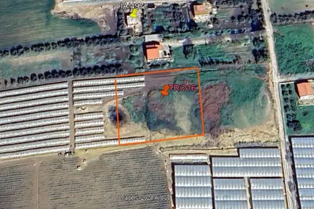 insertion image