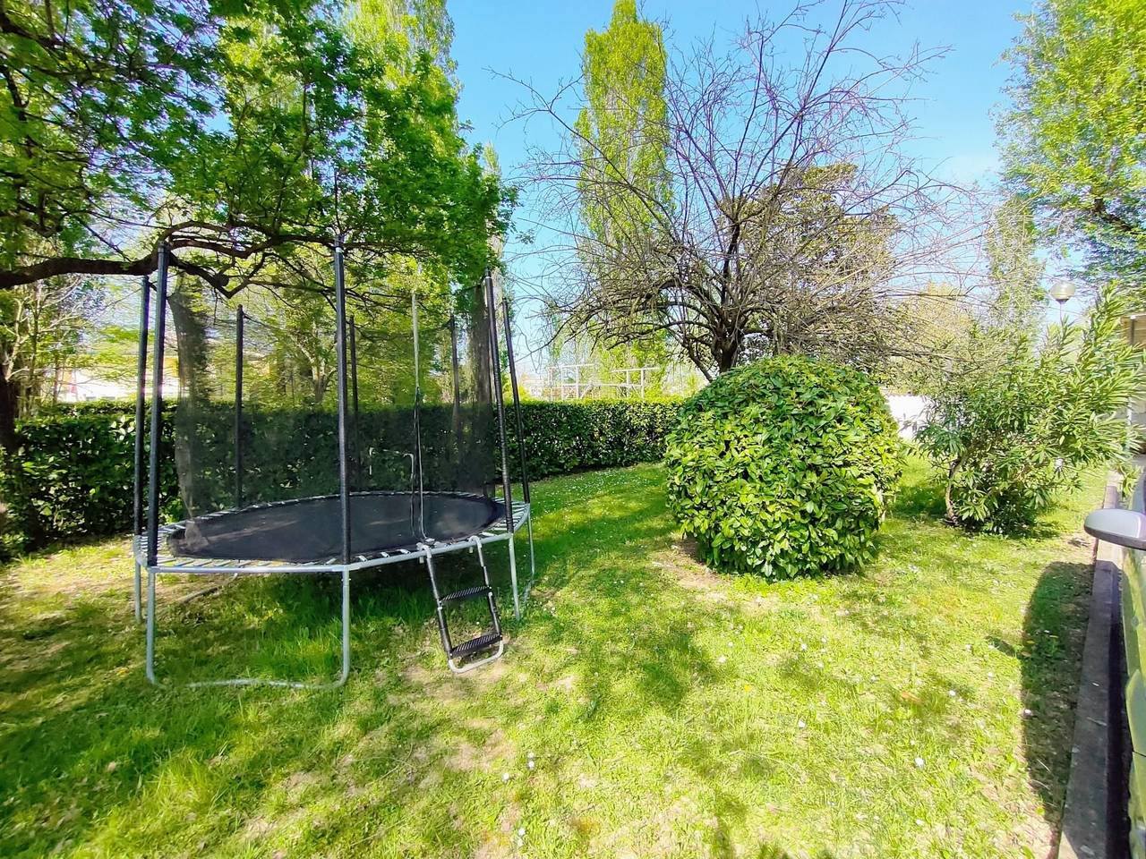 immagine annuncio 8 di 13