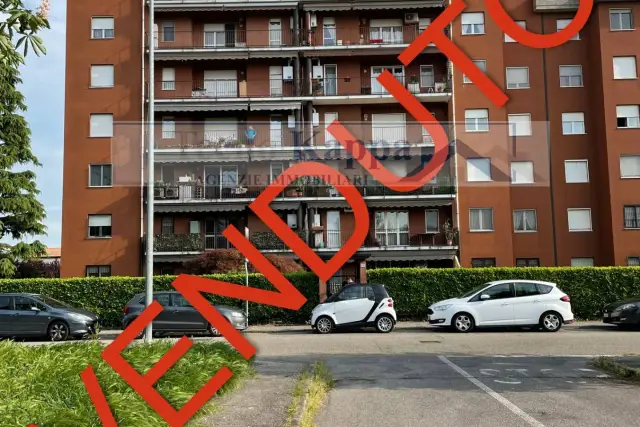 insertion image