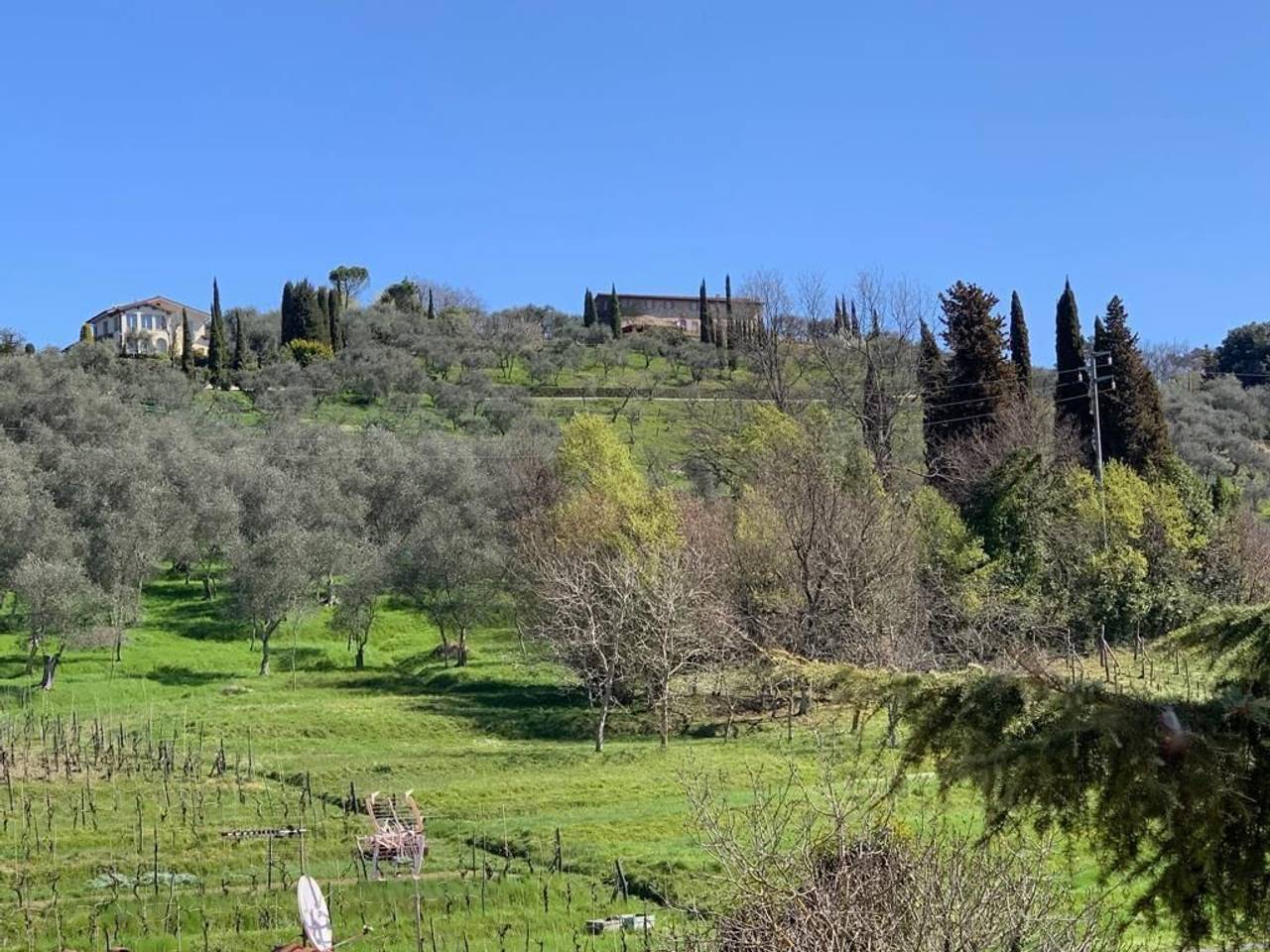 immagine annuncio 10 di 11