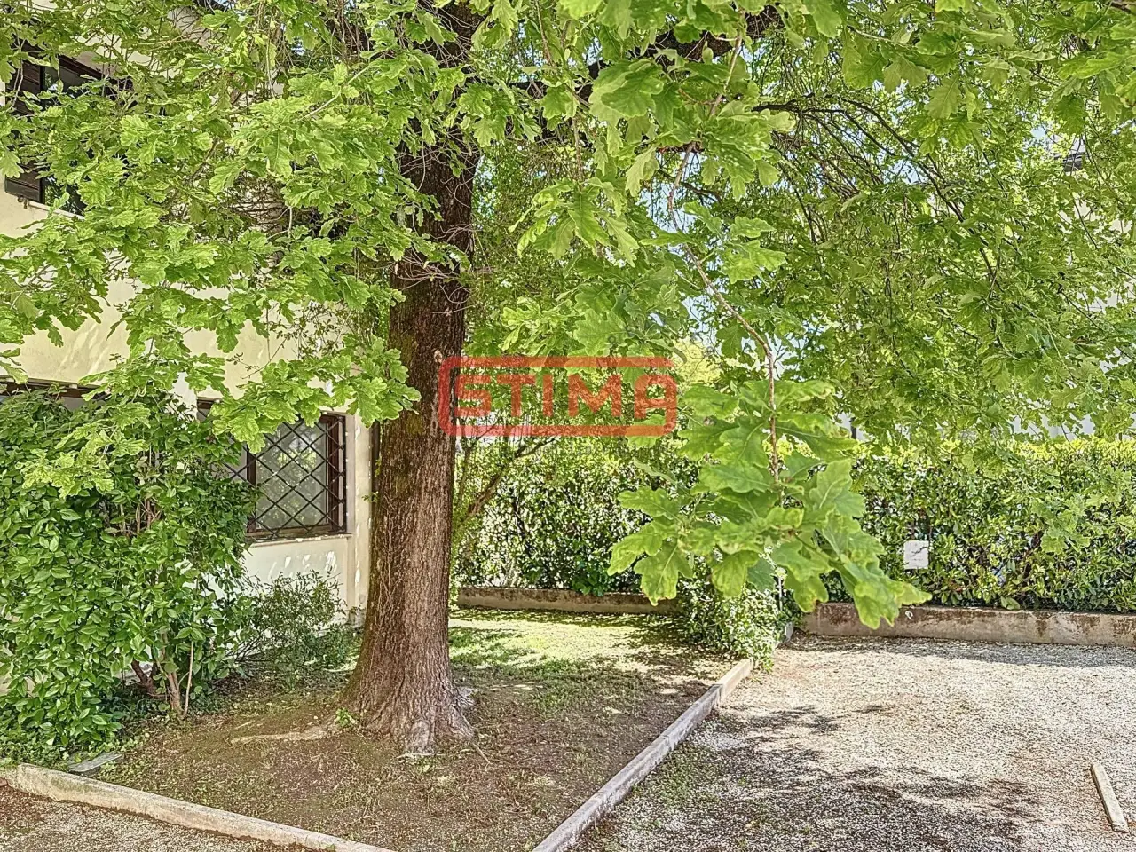 Ufficio in , Treviso, {3} - Foto 2