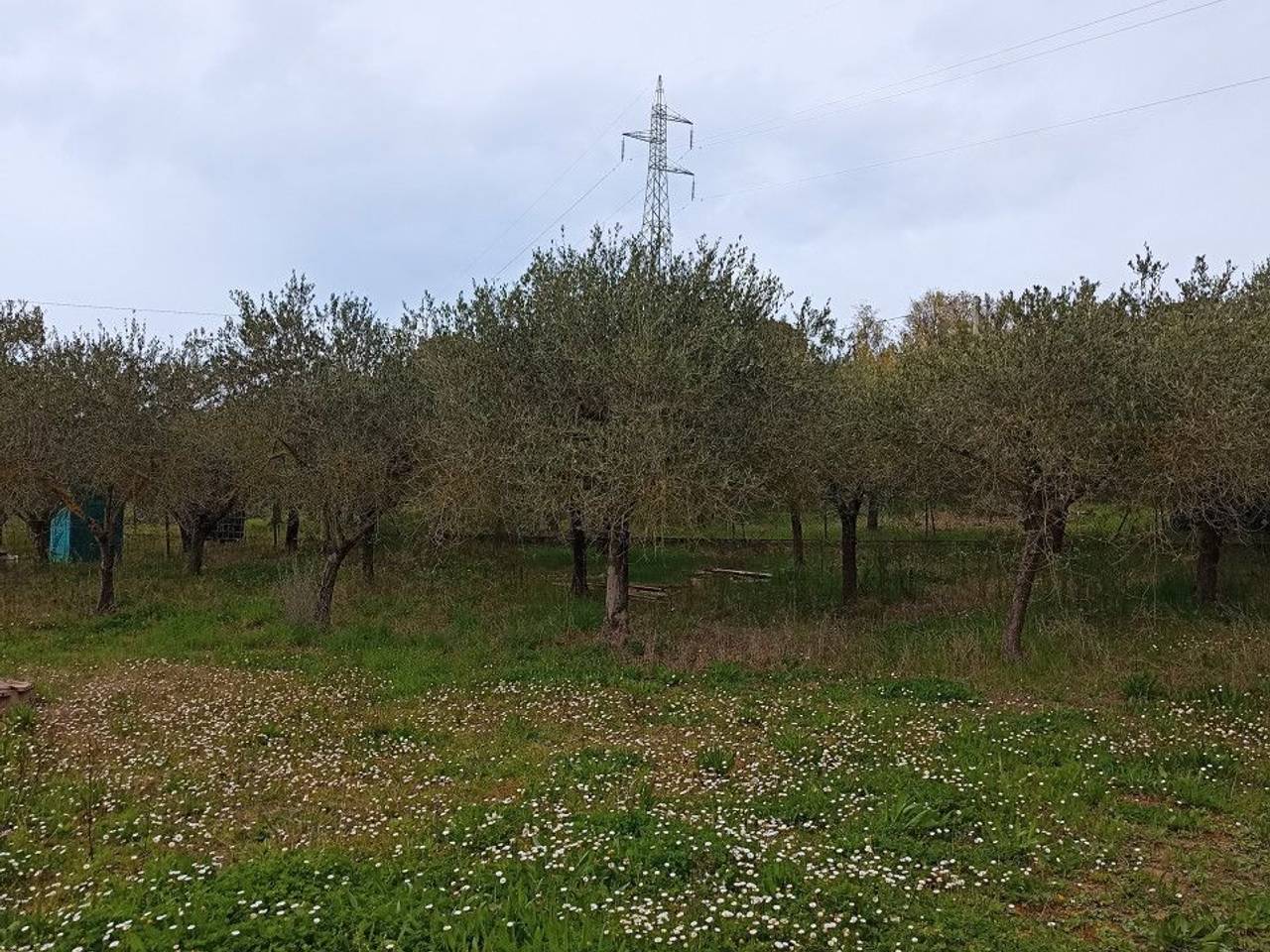 immagine annuncio 4 di 6