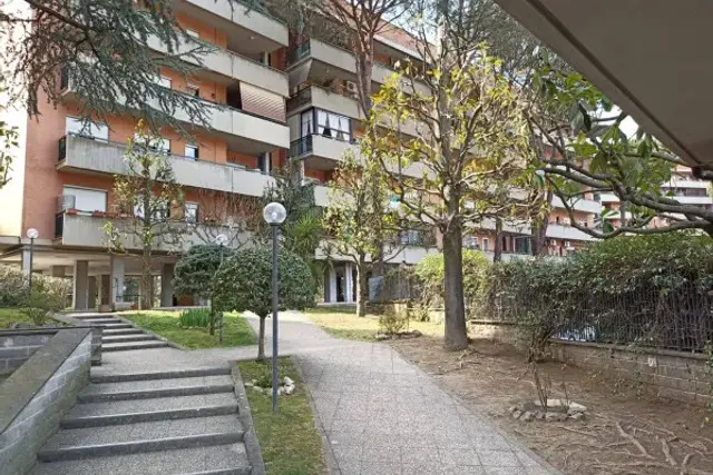 insertion image