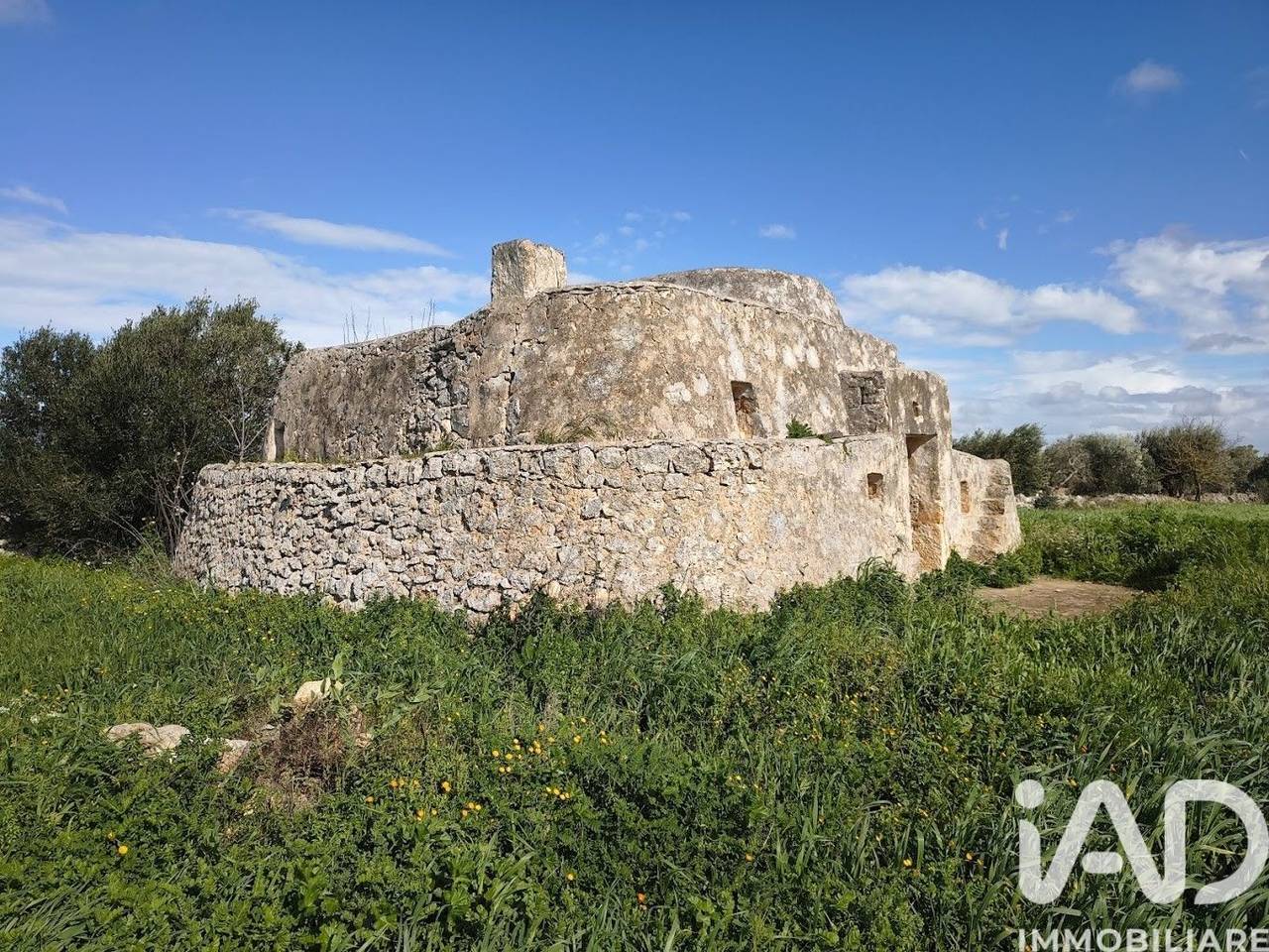 immagine annuncio 2 di 8