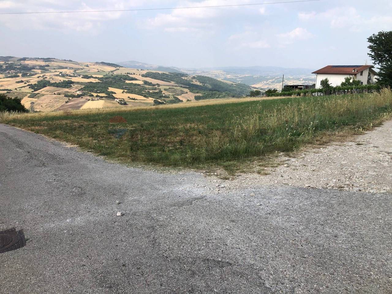 immagine annuncio 2 di 12