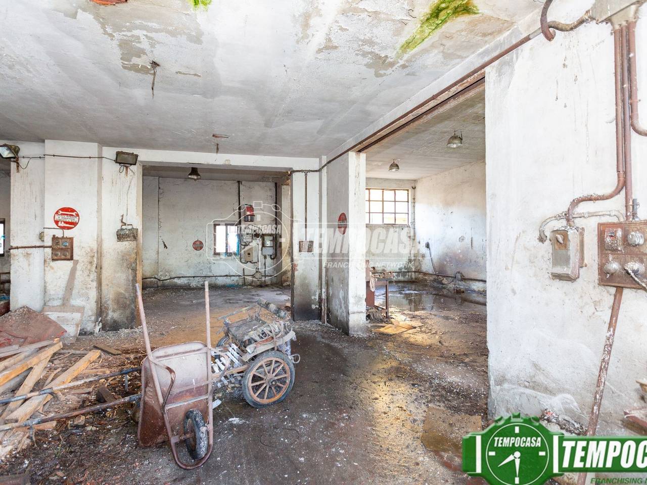 immagine annuncio 5 di 11