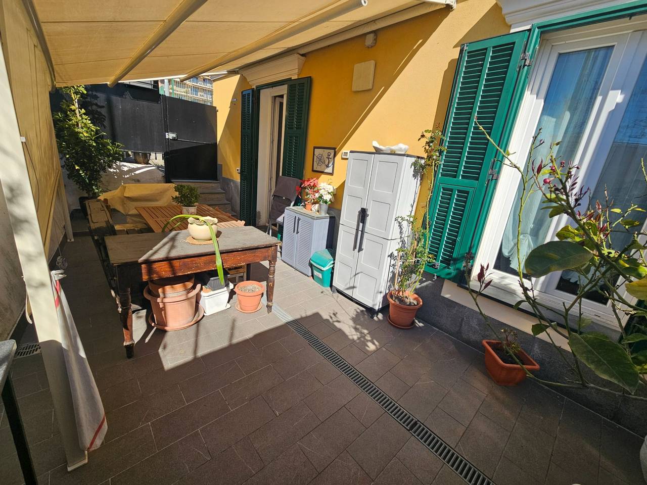 immagine annuncio 10 di 11