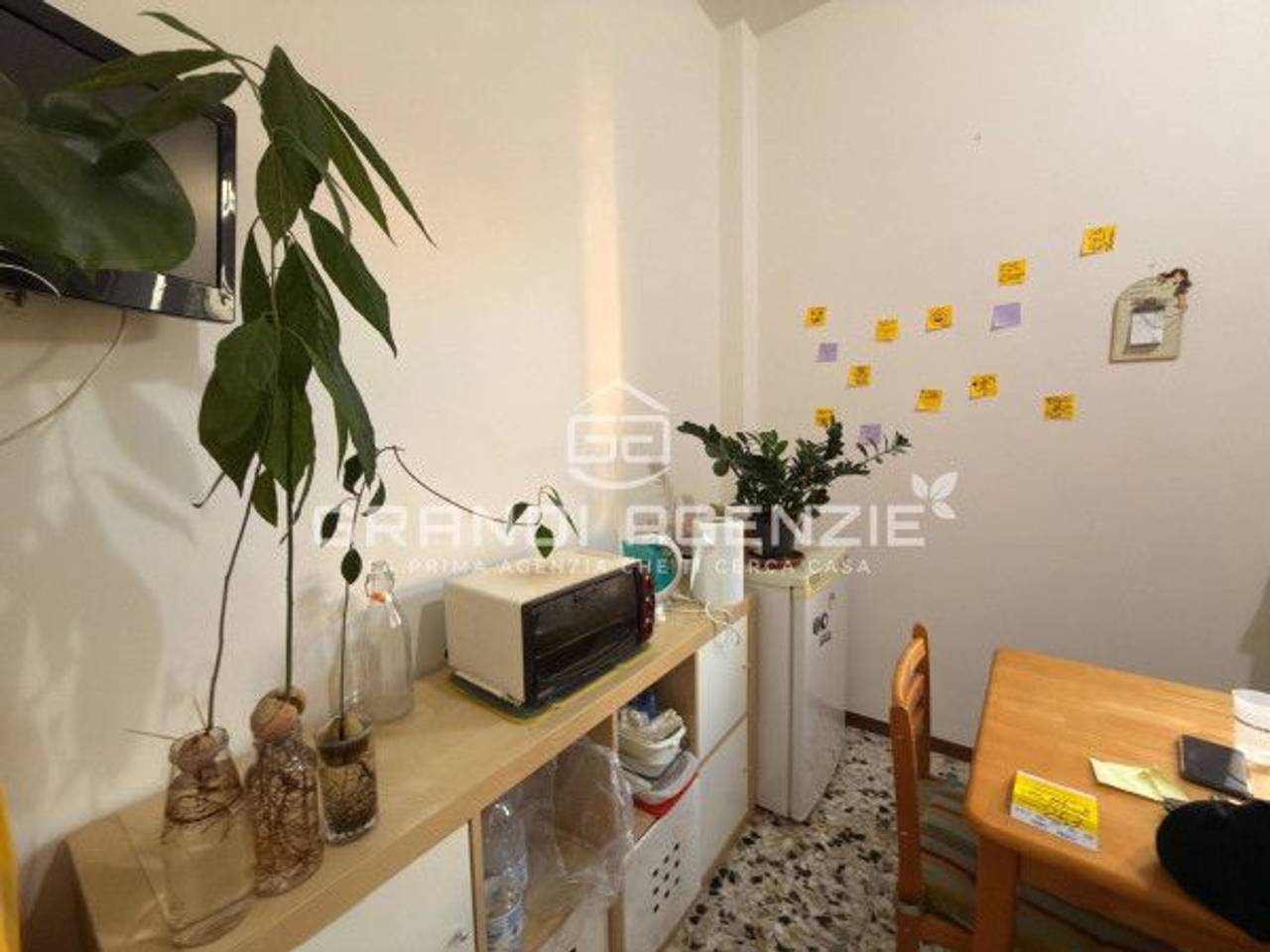 immagine annuncio 8 di 14