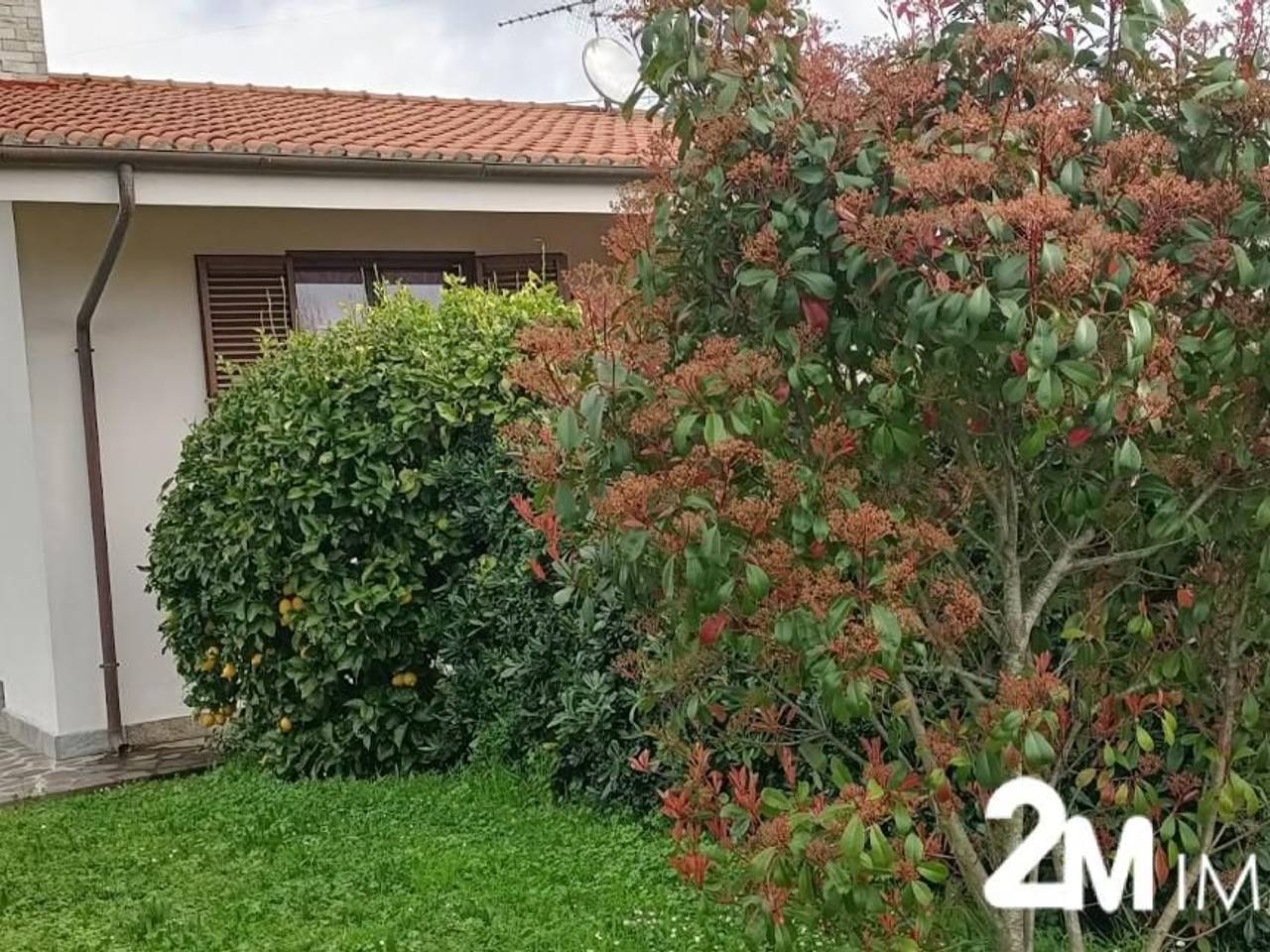 immagine annuncio 1 di 14