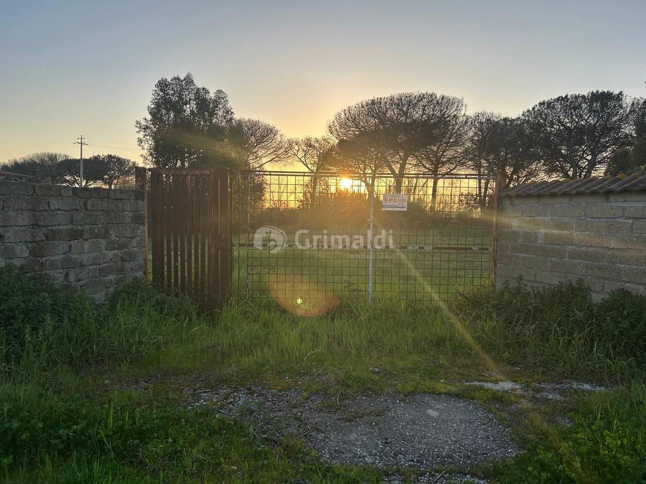 immagine annuncio 7 di 14