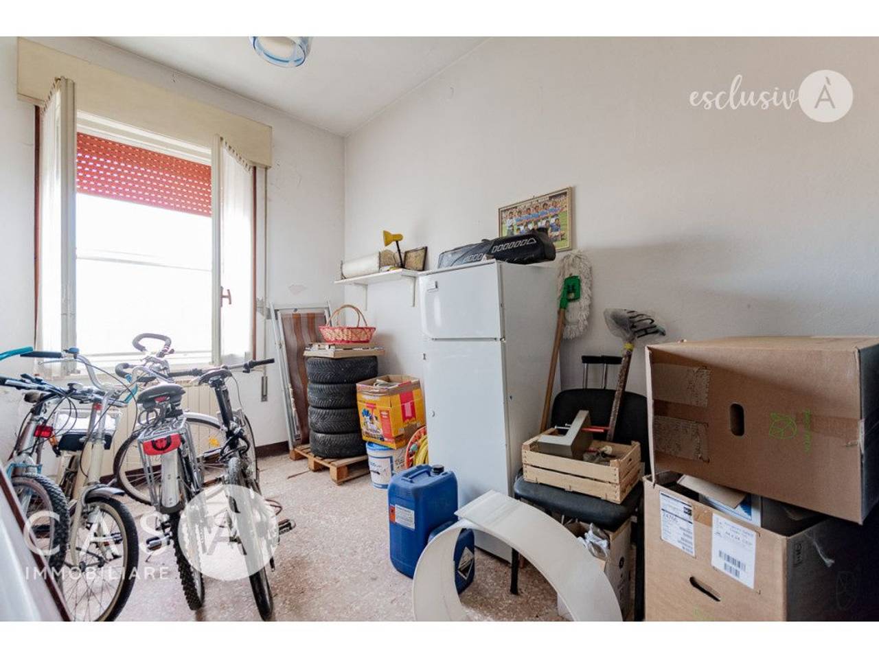 immagine annuncio 10 di 14