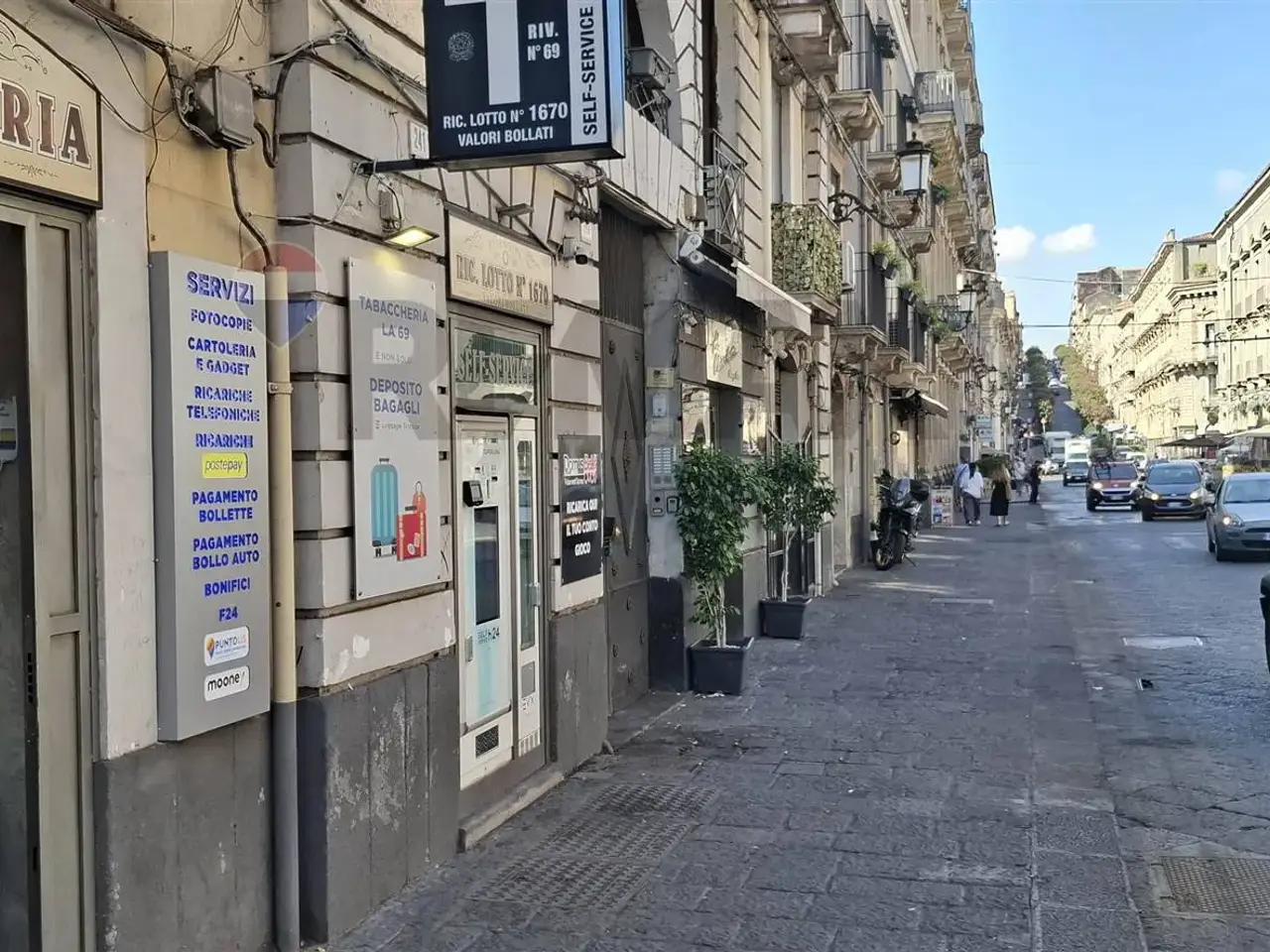 Esercizio commerciale in Via Antonino di San Giuliano 241, Catania, {3} - Foto 2