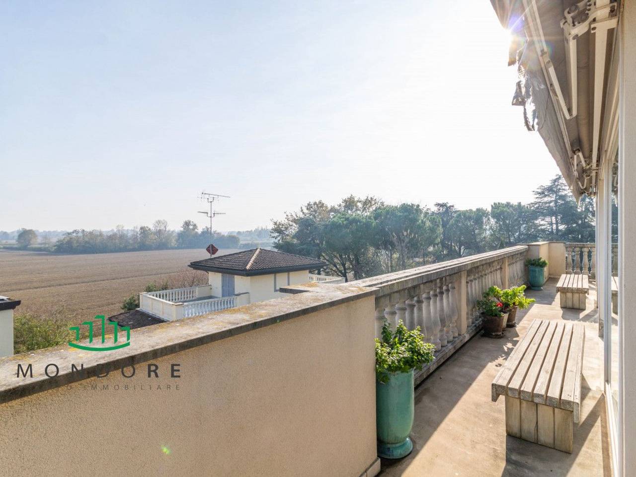 immagine annuncio 10 di 14