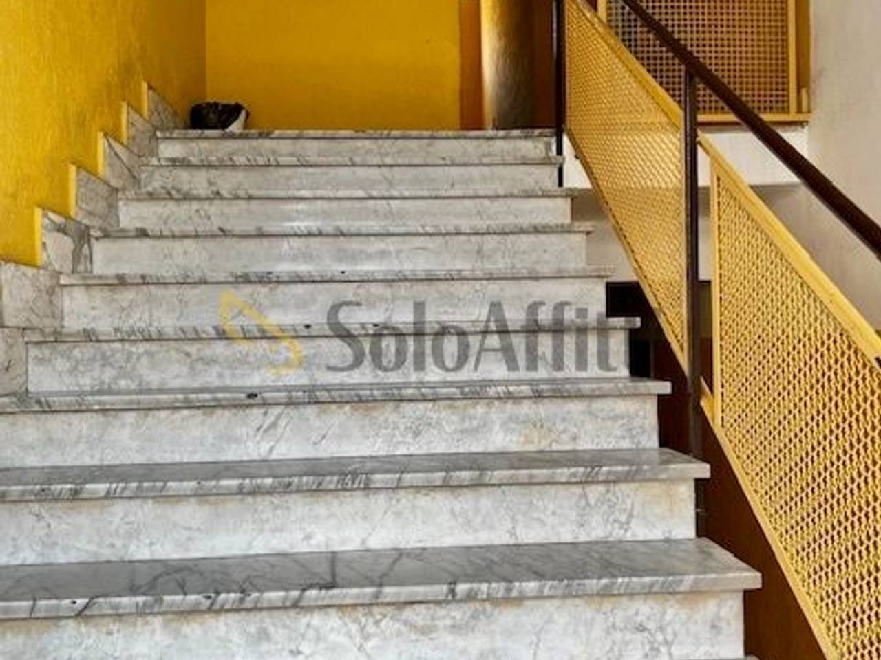 immagine annuncio 10 di 14