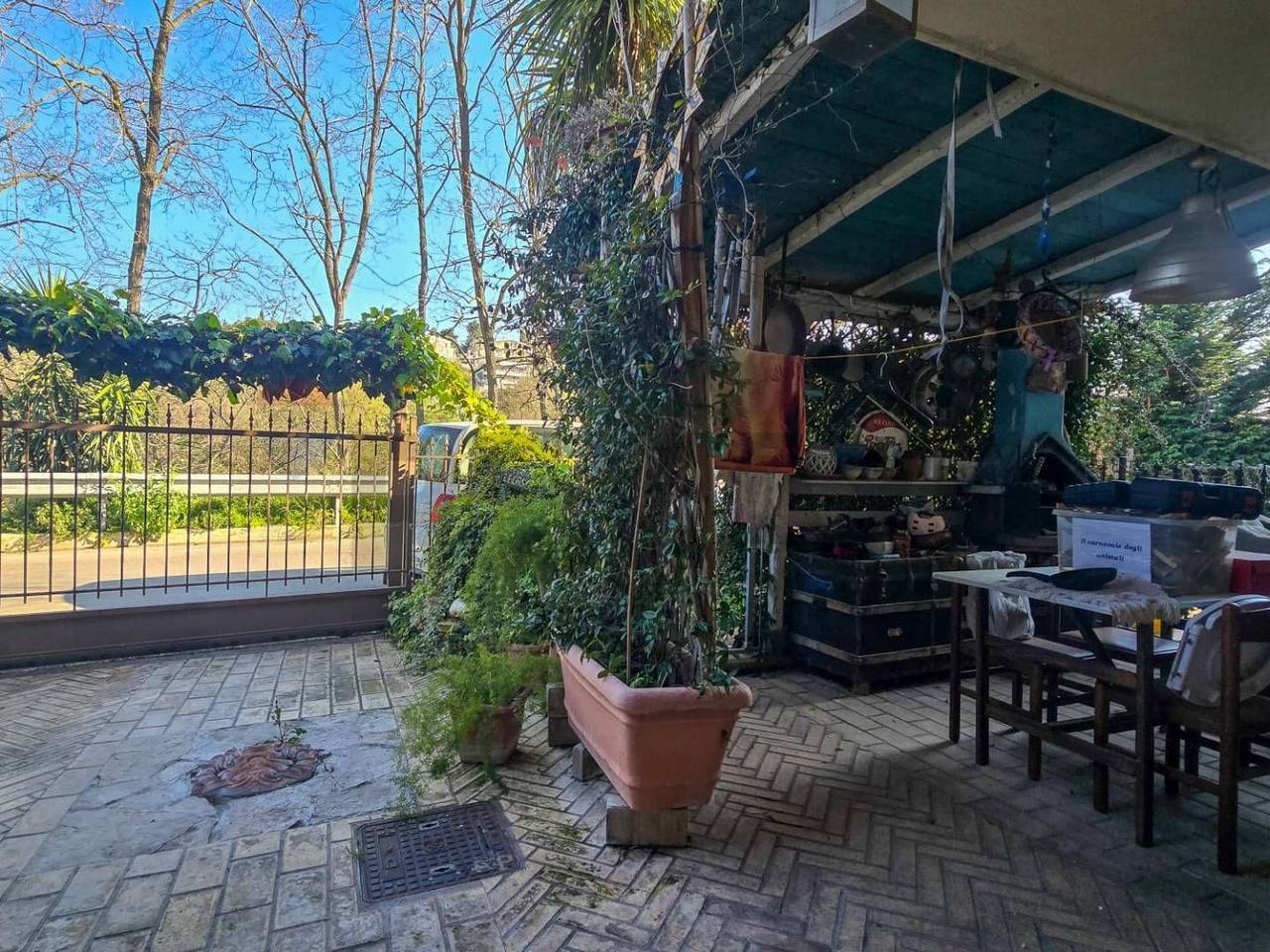 immagine annuncio 9 di 15