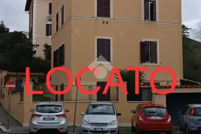 insertion image