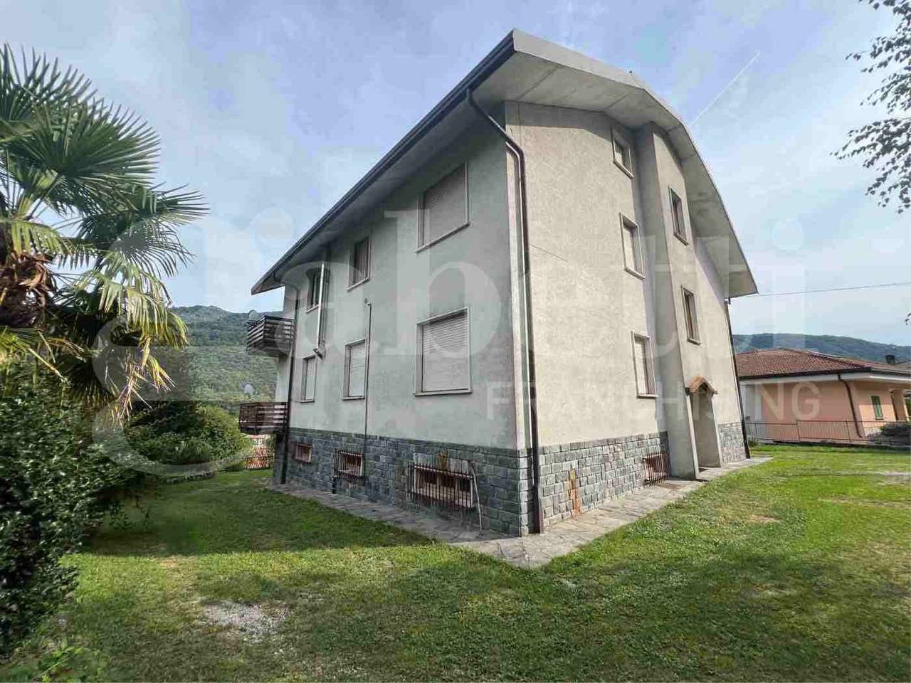 immagine annuncio 1 di 12