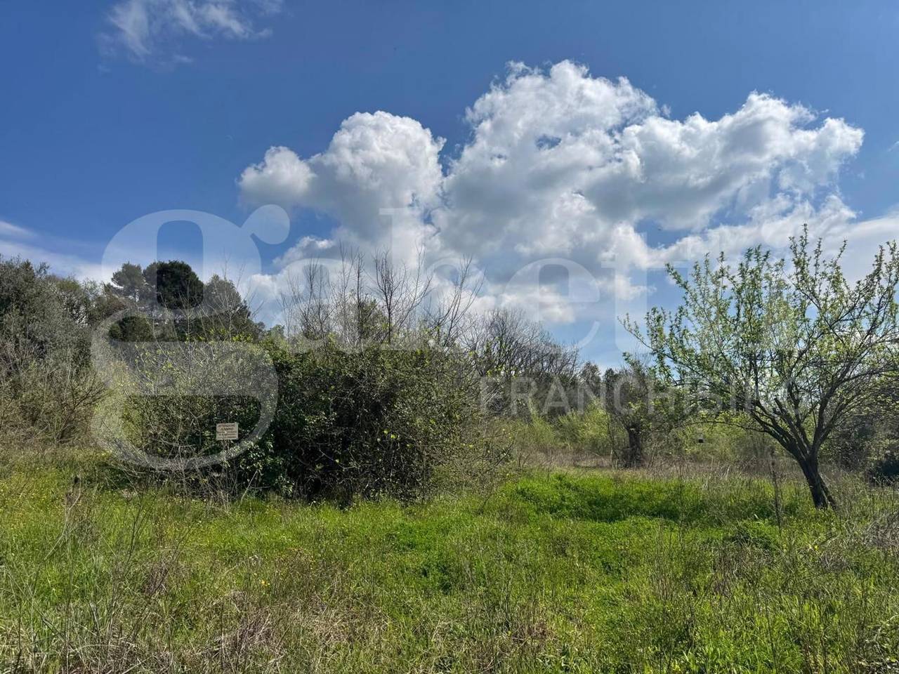 immagine annuncio 3 di 9