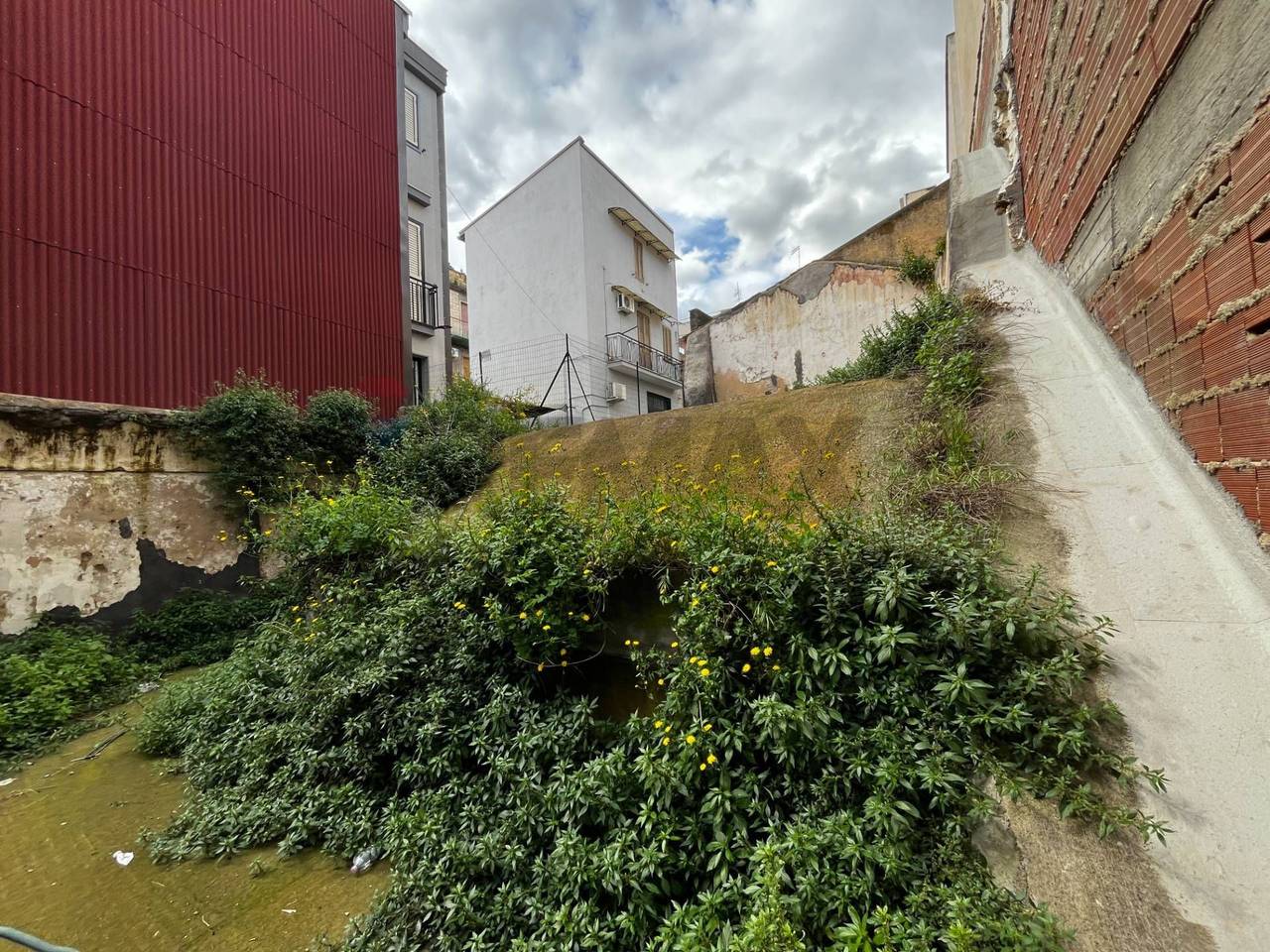 immagine annuncio 2 di 6