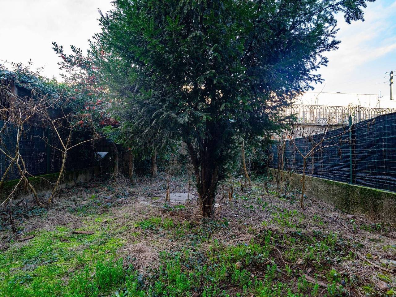 immagine annuncio 5 di 14