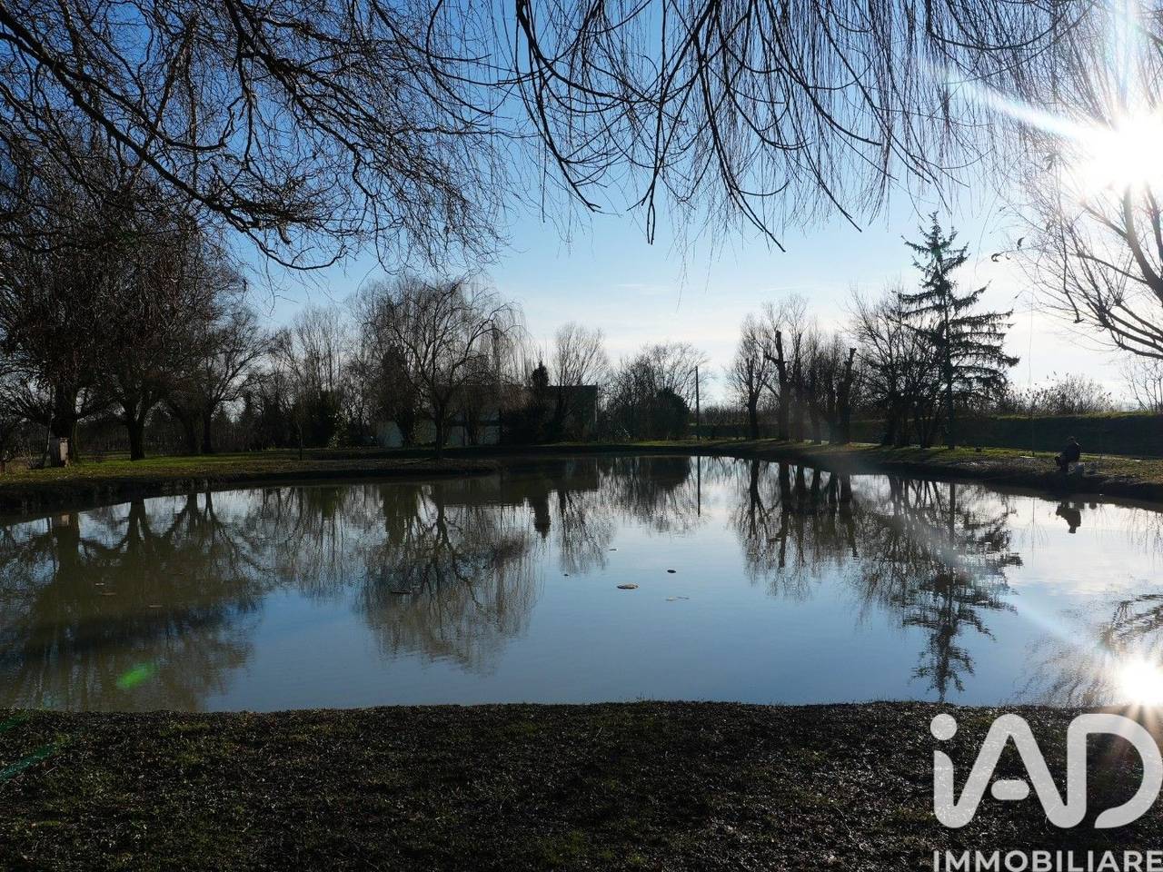 immagine annuncio 2 di 9