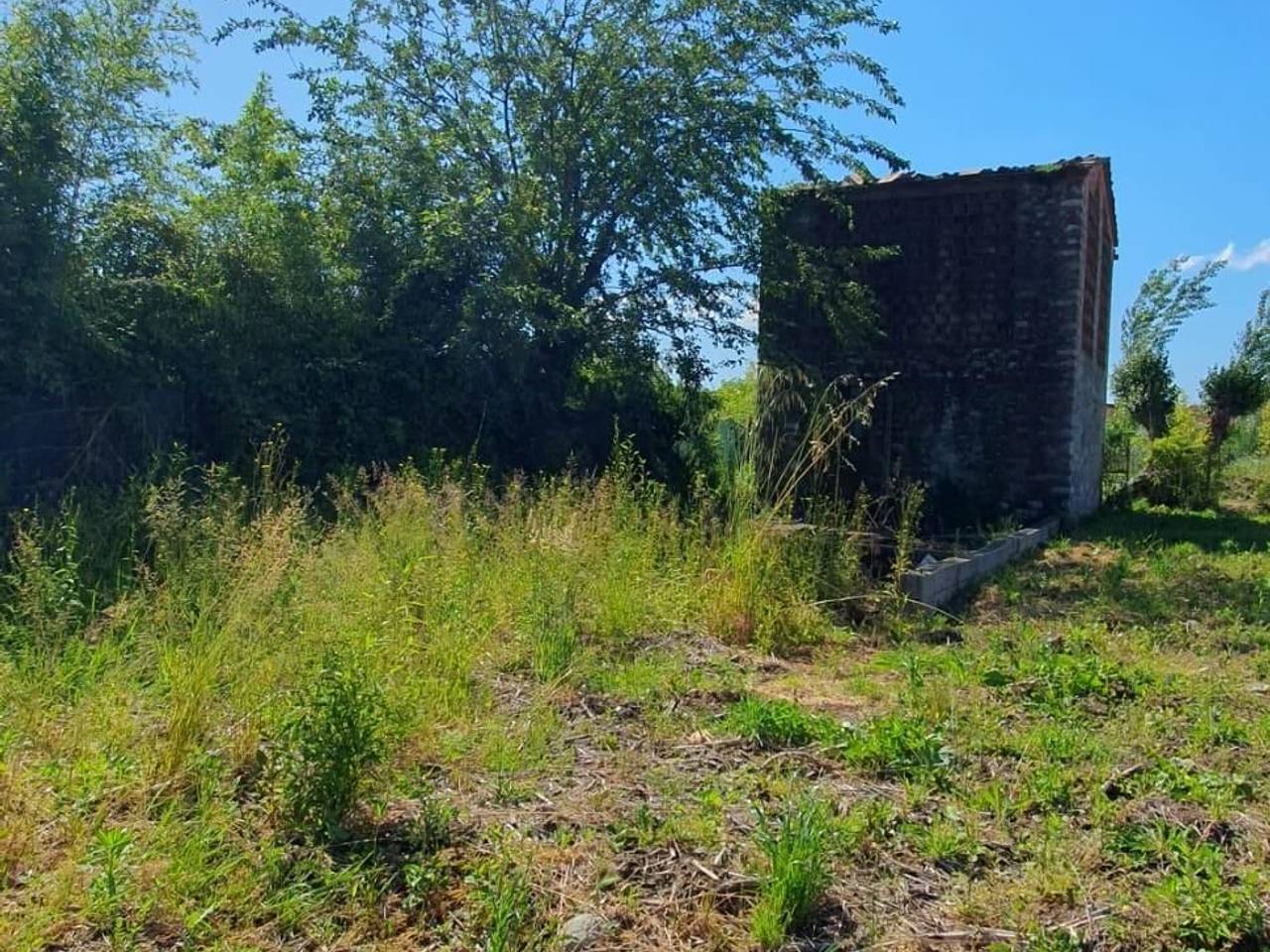 immagine annuncio 5 di 11