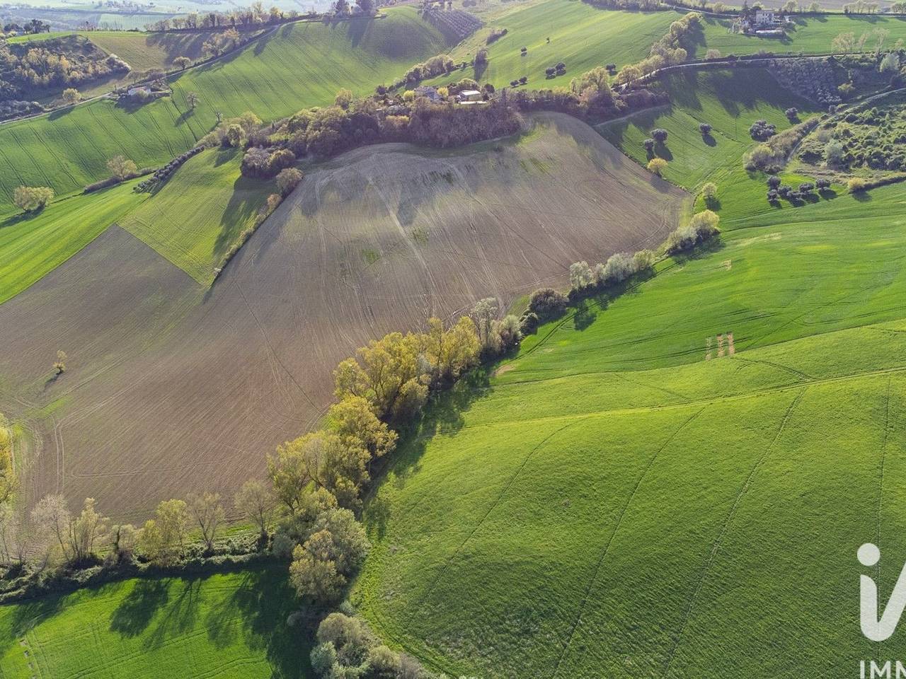 immagine annuncio 12 di 14