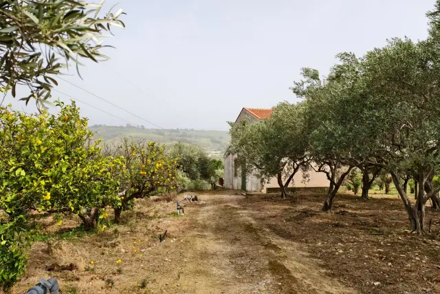 Rustico in vendita, Contrada Balla Snc, Termini Imerese - Foto 1