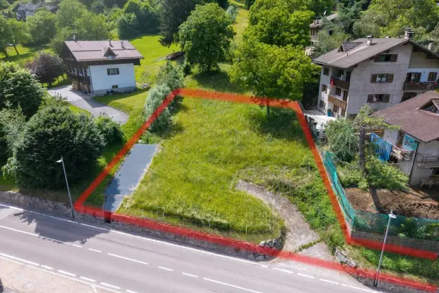 insertion image