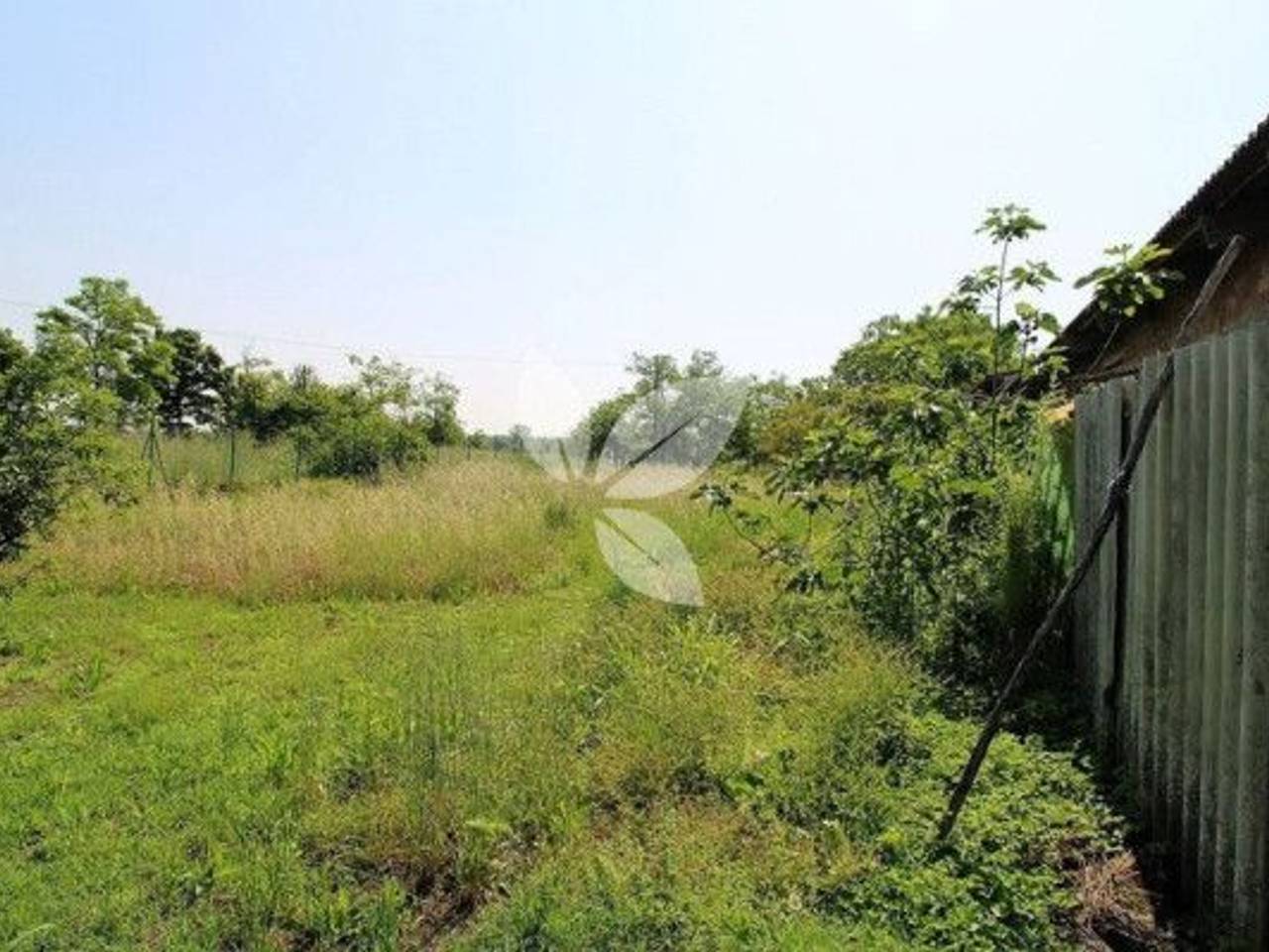 immagine annuncio 4 di 6