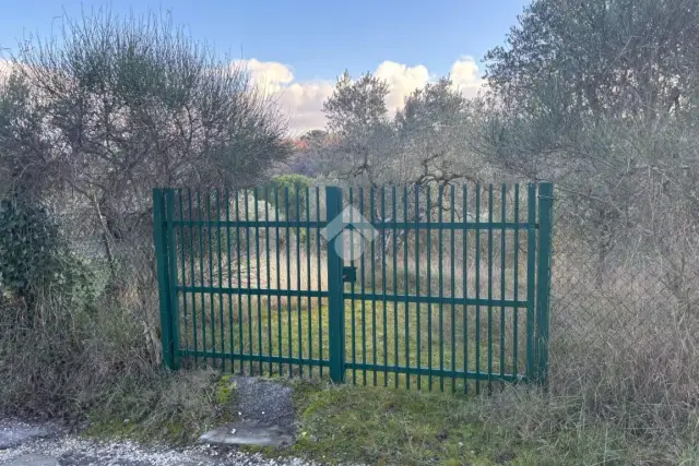 insertion image