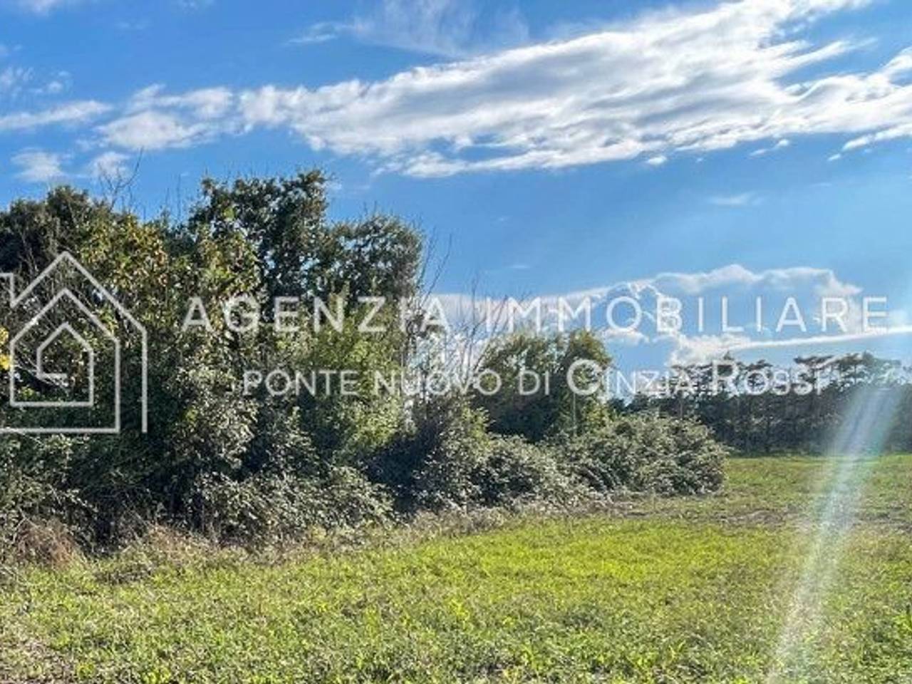 immagine annuncio 1 di 8