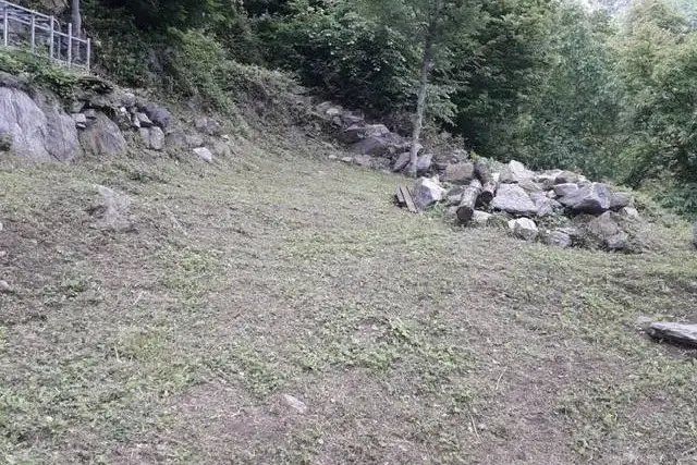 insertion image