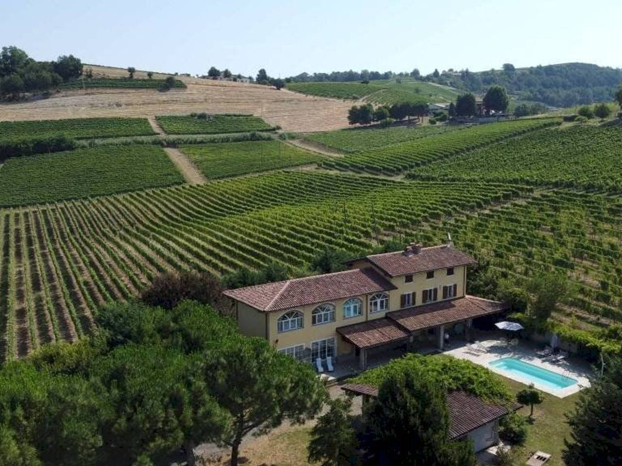 immagine annuncio 8 di 15