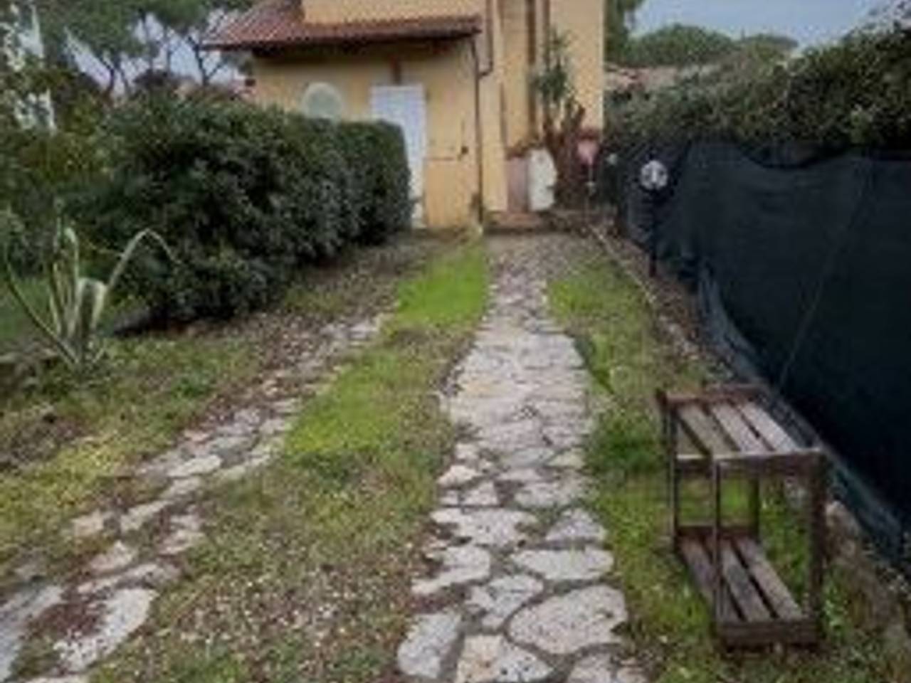 immagine annuncio 6 di 7